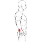 extensor-carpi-ulnaris-schmerzen-540px-480x439.jpg