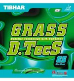 5fba7248126ead7c4716c152_tibhar_grass_d.tecs_gs_16104-720x780.jpg
