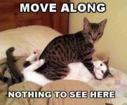 move along 1.jpg