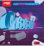G666