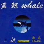 Blue Whale