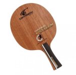 Gatien Vision Soft Carbon