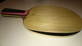 Stiga Carbonado 145 (1).JPG