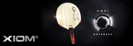 Hayabusa.jpg