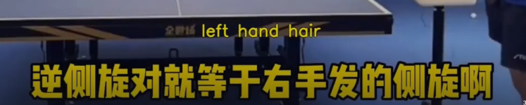 1691075941566.png