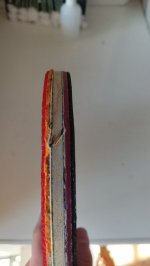 IMG20230902153254.jpg