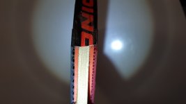 20230929_233814.jpg