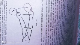 IMG_Acceleration on racket.jpg