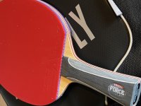 IMG_2928.jpeg