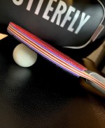 IMG_2925.jpeg