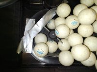 IMG_20240505_155322.jpg