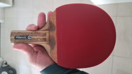 IMG-20230608-WA0008.jpeg
