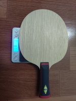 IMG_20240731_120652.jpg