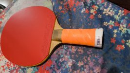 IMG_20240813_002301.jpg