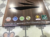 IMG_9514.jpeg