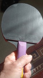 IMG20240830152645.jpg