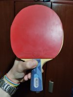 IMG_20241014_013038.jpg