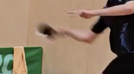 1732444039965.png