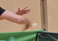 1732444232661.png
