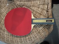 IMG_7849.jpeg