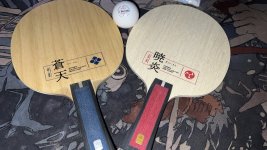 IMG_2601.jpeg