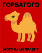 IMG_20240803_023658.png