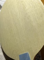IMG_6508.jpeg
