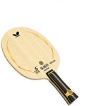 butterfly-zhang-jike-super-zlc.jpg