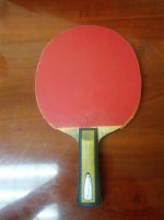 IMG_20131028_135855.jpg
