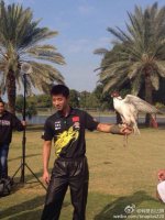 dubai safa park.2.jpg