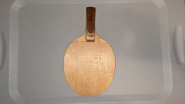 PXL_20250329_143441606.jpg