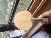 IMG_3563.jpeg