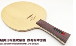 Screenshot 2025-06-25 at 17-24-32 XVT Japanese HINOKI ALC Inner Carbon Fiber Table Tennis Blad...png
