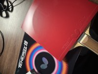 IMG_7156.jpeg