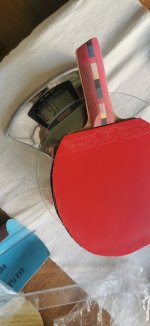 IMG_20250814_130430.jpg