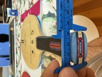 IMG_6929.jpeg