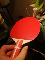 IMG_20251101_175619.jpg
