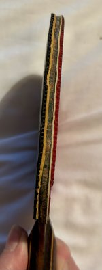 IMG_6989.jpeg