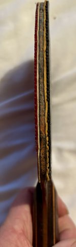 IMG_6990.jpeg