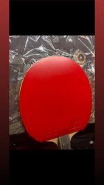 IMG_0040.jpeg