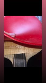 IMG_0041.jpeg