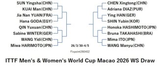 ITTF126-3-30To4-8WSEN0260402N.jpg
