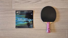 Donic BlueGrip S1 Review.jpeg