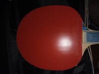 20260606_154628.jpg