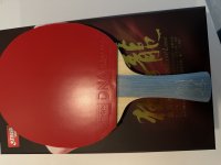 IMG_1219.jpeg