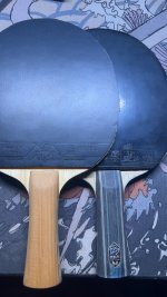 IMG_8714.jpeg