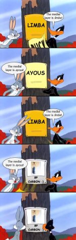 1000008600.jpg