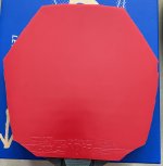 IMG_7493.jpg