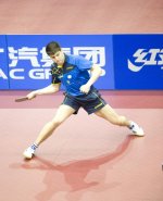 dima german open 2014s.jpg dima german open 2014s.jpg