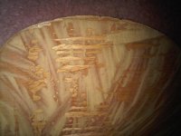 IMG00946-20140409-1317.jpg